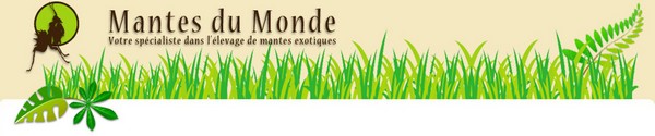 banner_mdm2.jpg