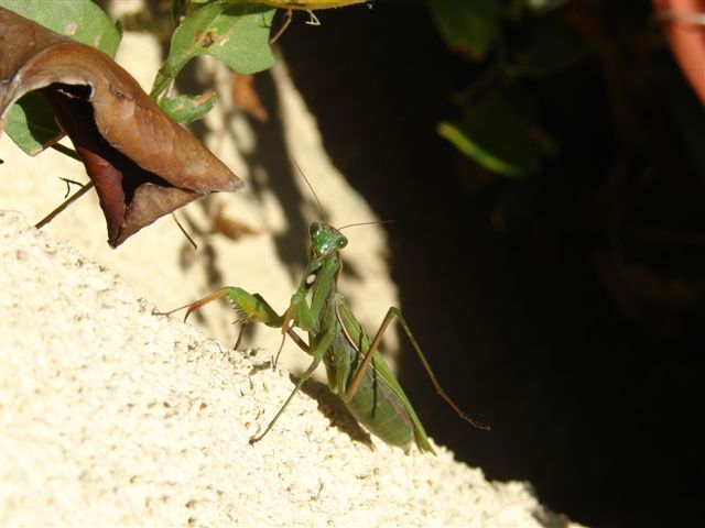 DSC05544.jpg